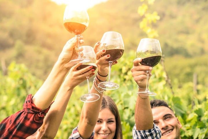 Sicilian Soul: Winery Tour, Wine & Food Tasting in Catania