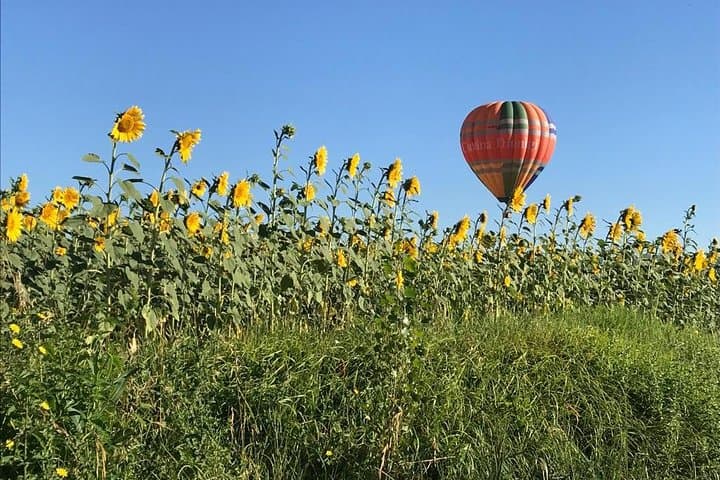 Our balloon is cruising over the sunflowers field