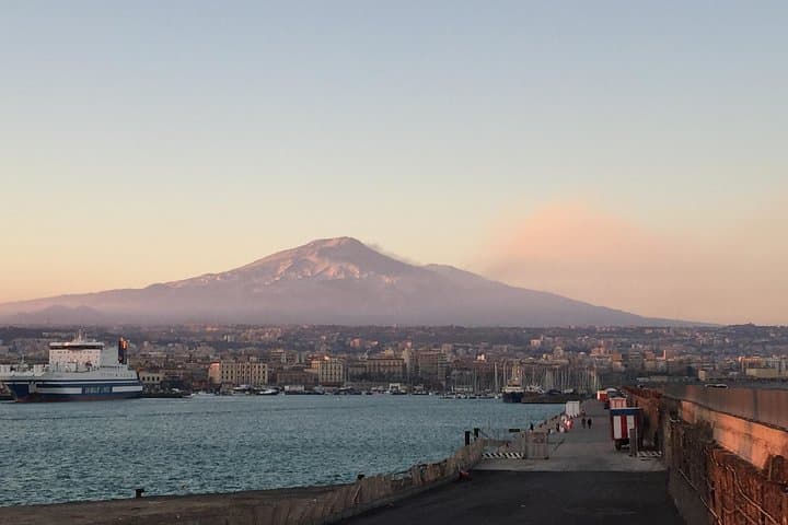 Etna Tour for Cruises (from the port of Catania)