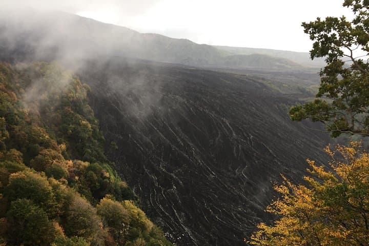 Etna Tour for Cruises (from the port of Catania)
