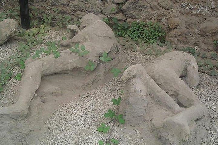 Pompeii Ruins Excursion for 3 hours (round-trip included)
