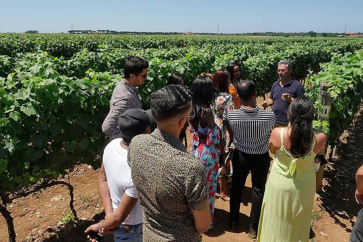 Wine tour