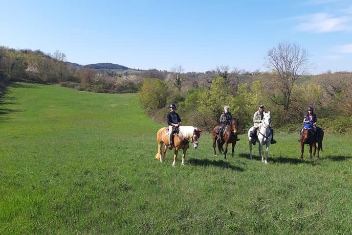 Horse ride, Olive Oil and local foods tasting in a Tuscan farm