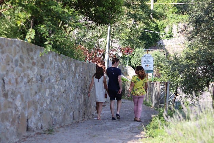 Susy and our guests walk on the estate