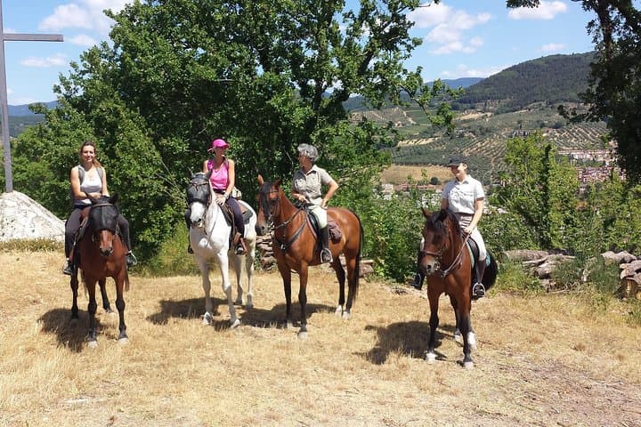 Private Tuscany Horse Ride, Wine Tasting and local food at Estate