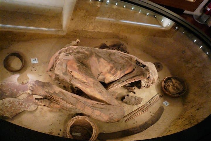 A mummy at the Turin Egyptian Museum