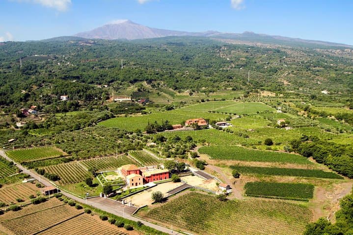 Etna DOC & Organic Wine tasting and tour of the 1815 historic winery