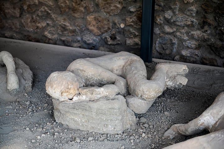 Plaster Cast