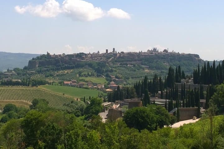 Private daytour Tuscany from Civitavecchia port
