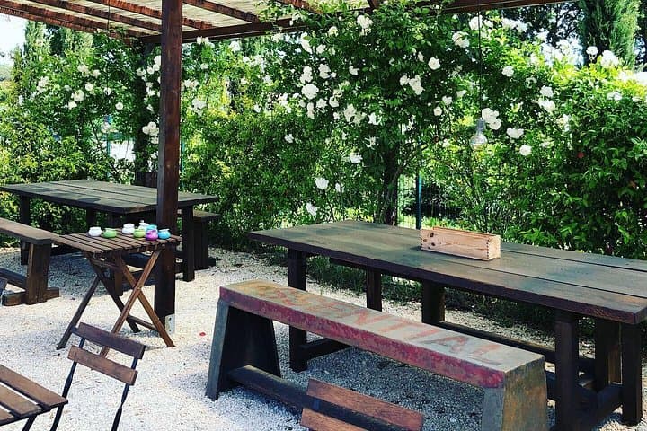 Discovering the Bolgheri vineyards and tasting local products