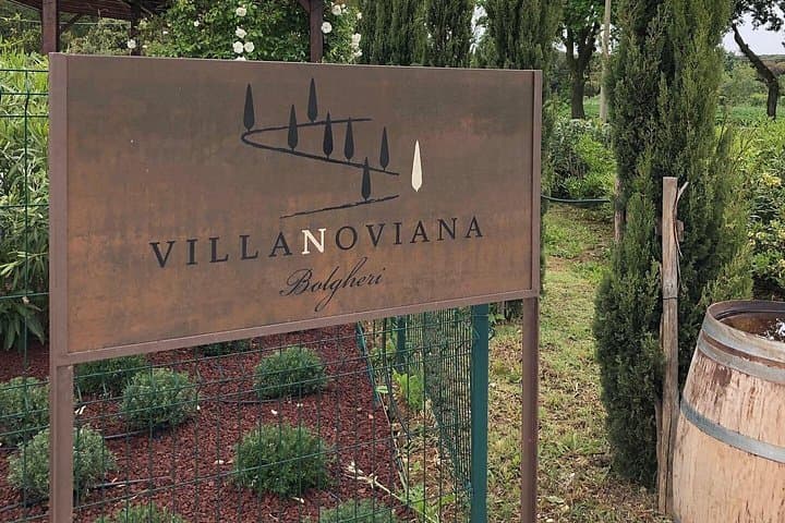 Discovering the Bolgheri vineyards and tasting local products