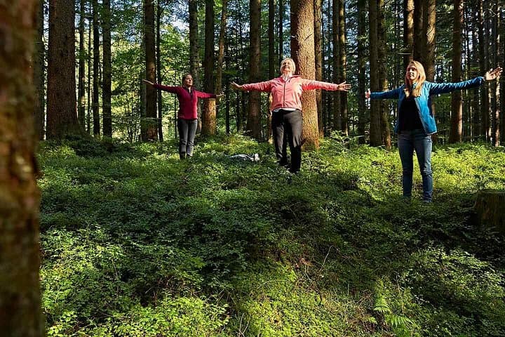 Volcanic Forest Bathing Weekend on Etna