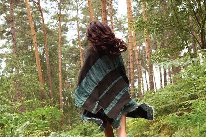 Volcanic Forest Bathing Weekend on Etna