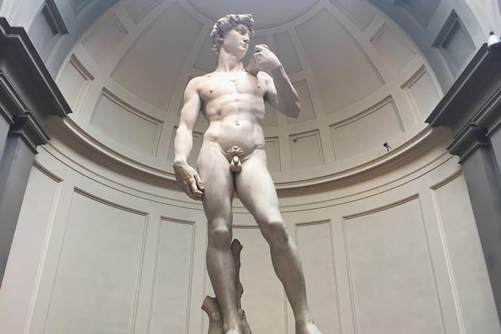 See the art icon of Florence - Michelangelo's David