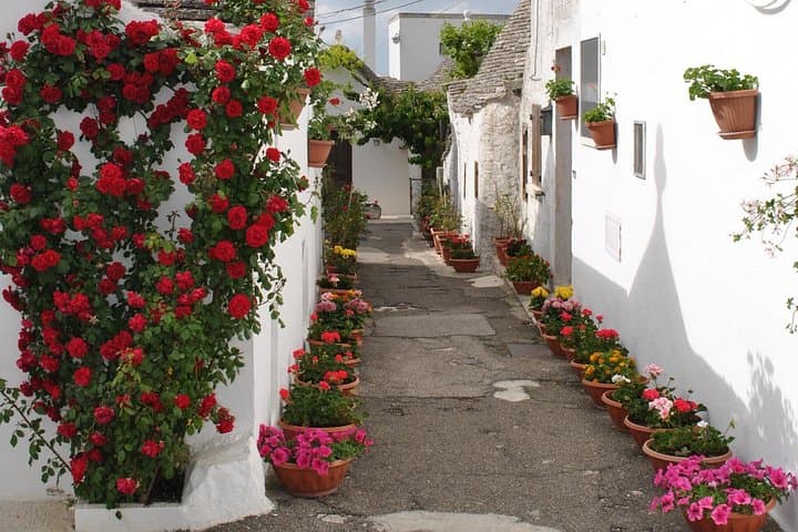 ALBEROBELLO