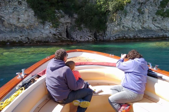 Private boat tour to Isola del Garda and surroundings.