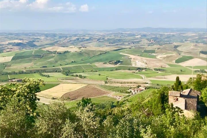 Small group Chianti-side wine tour with Mercedes V class Van