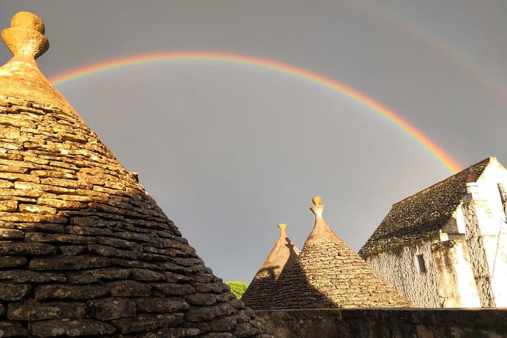 E-bike Guided tour Locorotondo and Alberobello, wine in vineyard