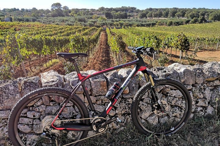 E-bike Guided tour Locorotondo and Alberobello, wine in vineyard