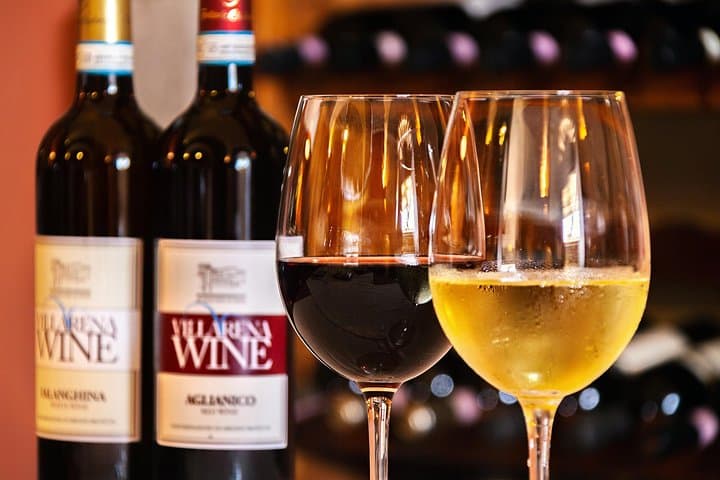 Wine & Food Tasting in Villarena