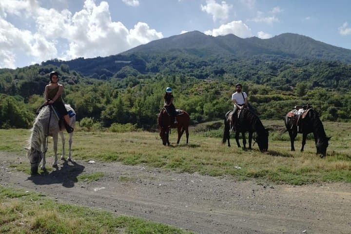 Horse Riding on Mount Vesuvius