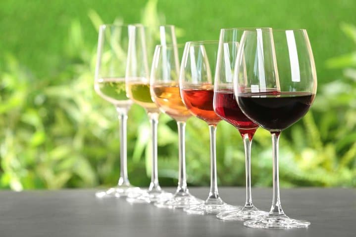 Wine Tasting in Tuscany: full-day private tour from Rome