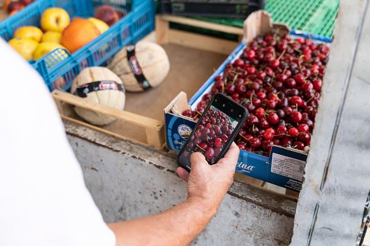 Taking pictures of the local produce