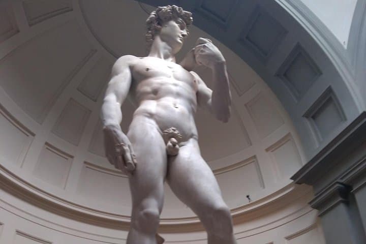 Michelangelo's David tour and entry tickets - Small group tour