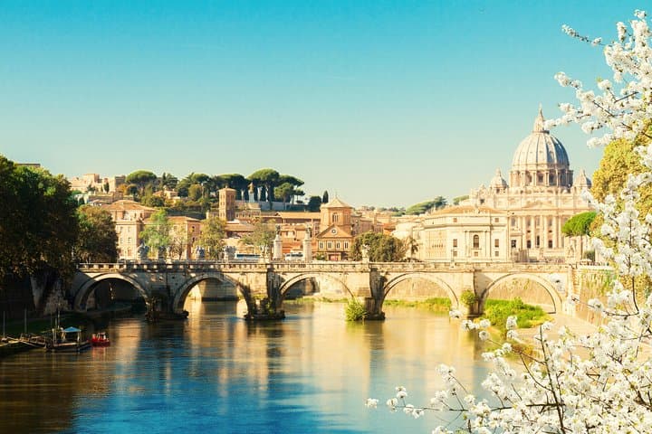 Vatican Papal Audience Tour with local Assistance