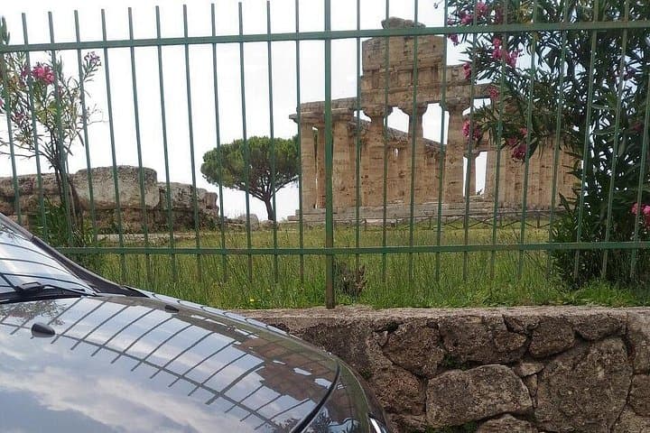 From Naples: Paestum, Mozzareffa Farm, Wine tasting and lunch