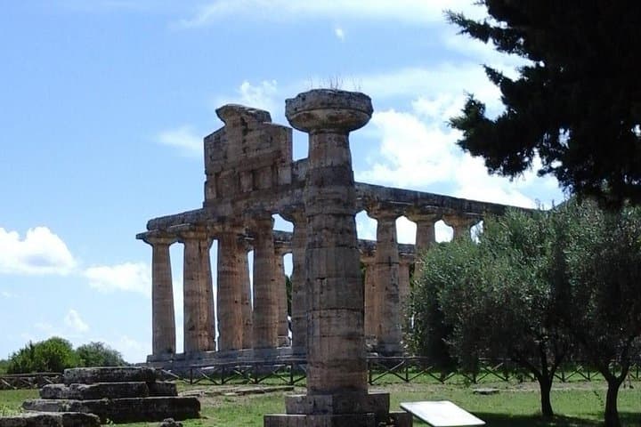 From Naples: Paestum, Mozzareffa Farm, Wine tasting and lunch