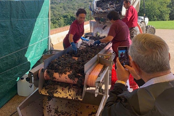 Bolgheri Wineries and Tuscany Tour