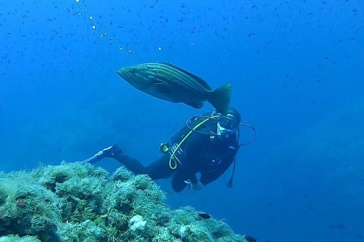Scuba Experience
