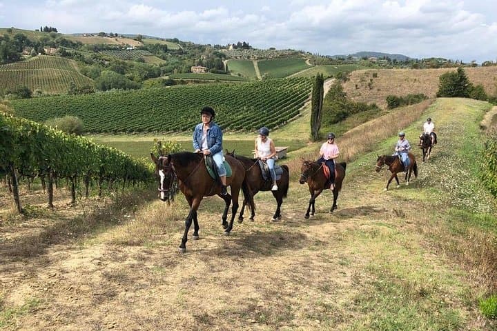 Horseback riding tour and wine tastings