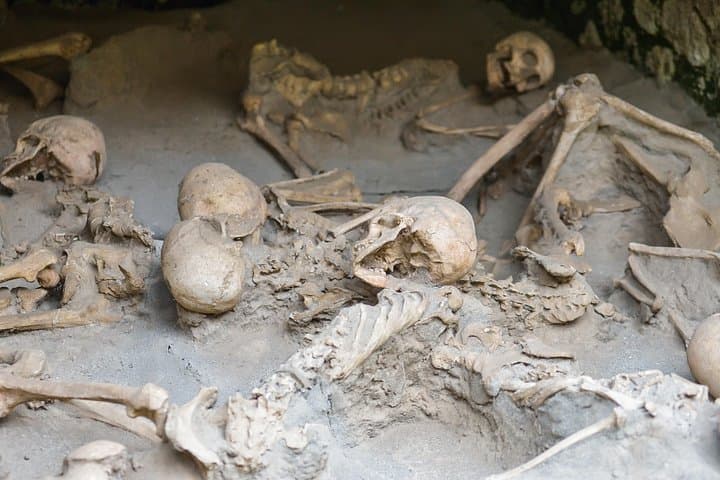 skeletons