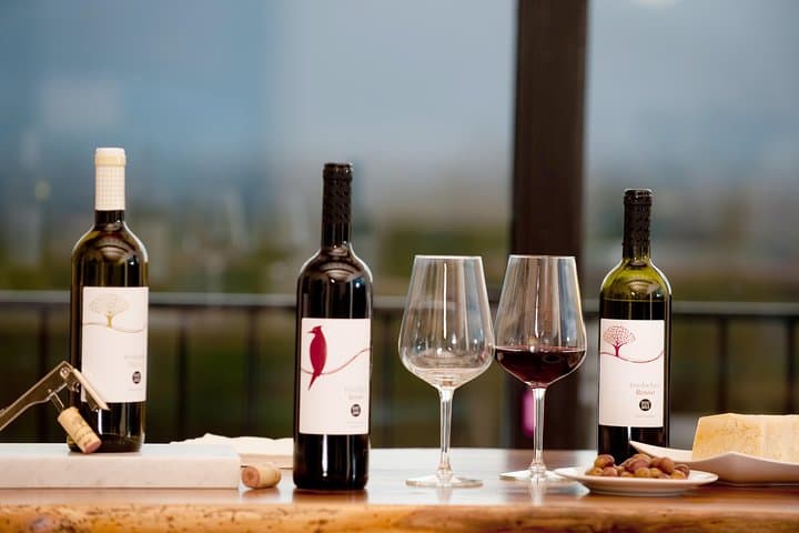 Wine and olive oil tasting & farm tour