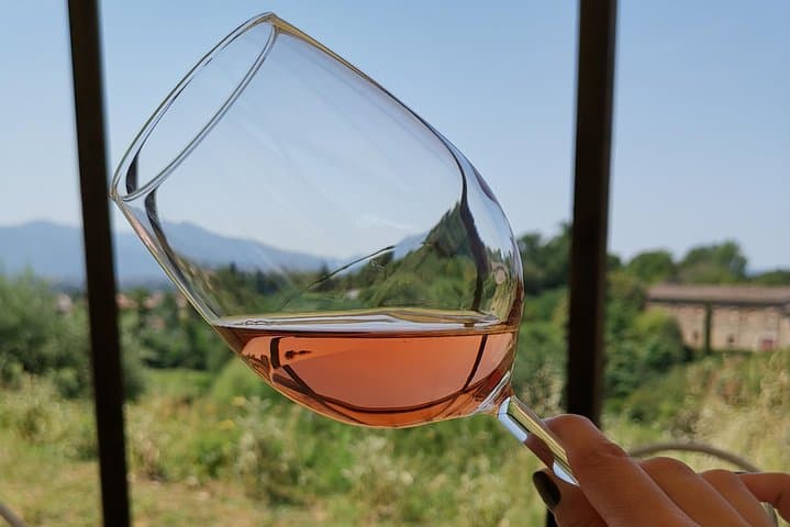 Wine and olive oil tasting & farm tour