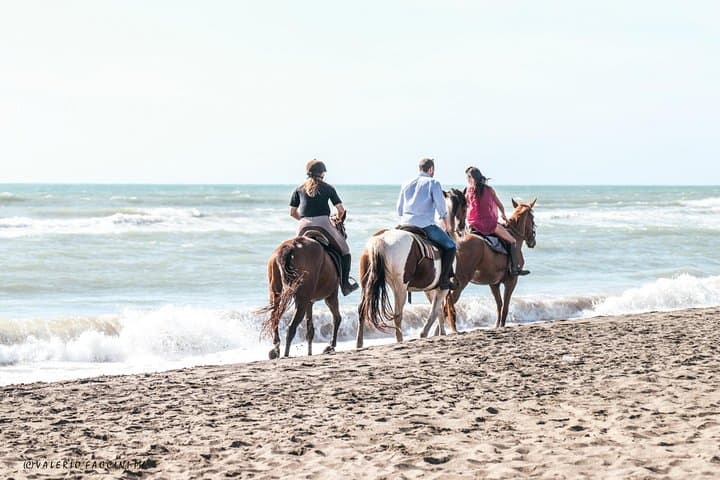 Rome: Horseback Riding on the Beach with aperitif