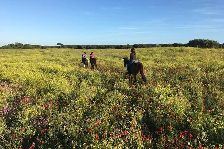 Rome: Horseback Riding on the Beach with aperitif