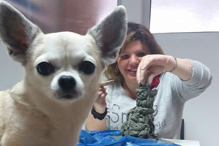Sculpt to Florentine Pet