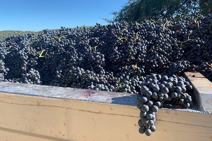 Montepulciano Pienza Montalcino Tour from Florence