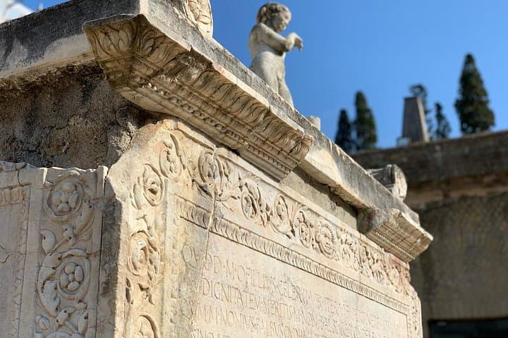 Exclusive Herculaneum tour with Expert!