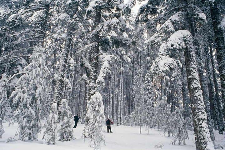Snowshoe hike to the Three Peaks of Lavaredo