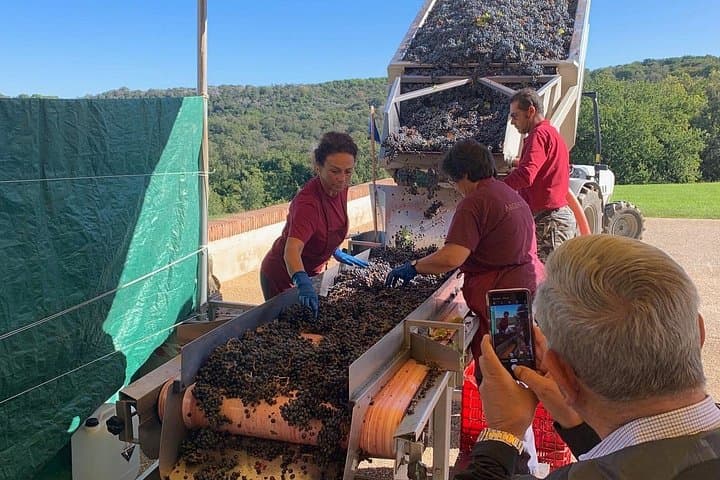 Montepulciano Pienza Montalcino Tour from Florence