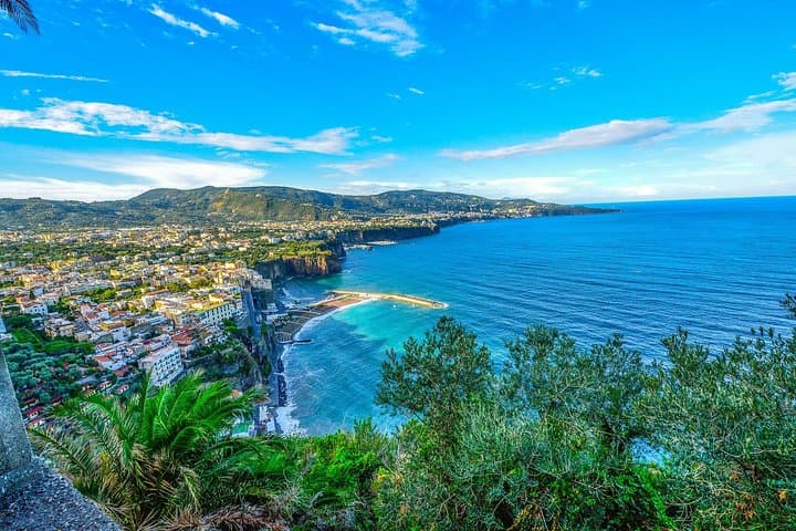 Private Transfer: Naples to Sorrento, 2h in Vesuvius or Pompeii