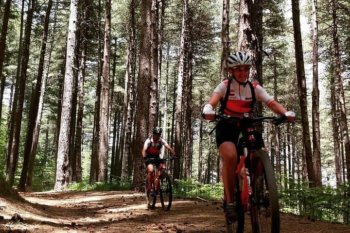 Mount Etna E-bike half-day tour