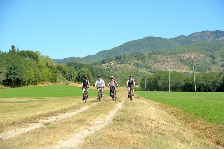 Tuscan countryside bike tour and food tasting