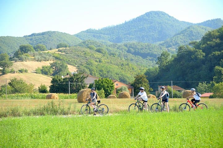 Tuscan countryside bike tour and food tasting