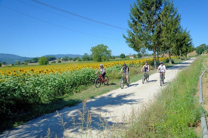 Tuscan countryside bike tour and food tasting