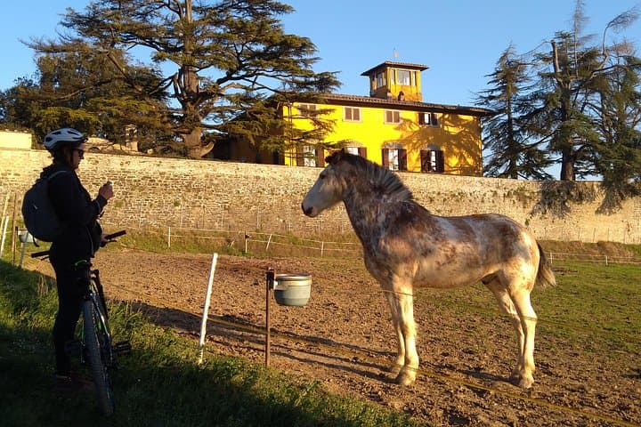 Tuscan countryside bike tour and food tasting